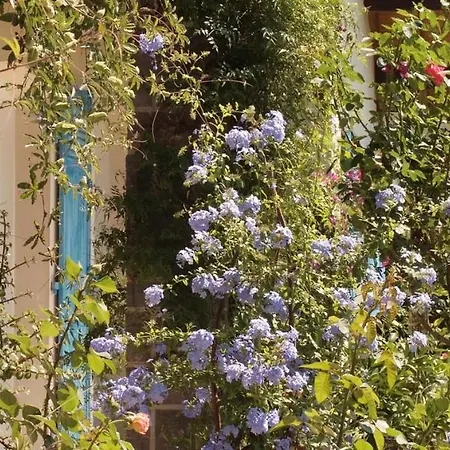 Maison L'anyou